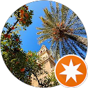 Barbara P. profile picture