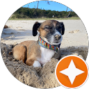 Elisabet Navarro Q. profile picture